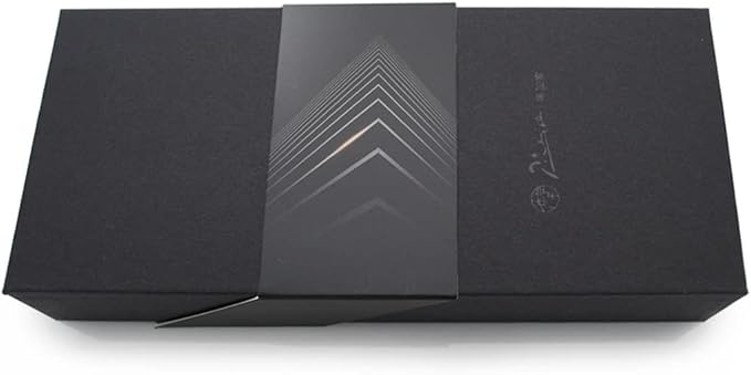 Picasso 916 Malage Fountain Pen Original Box New Version (Starlit Night Gray, Extra Fine Nib 0.38mm)