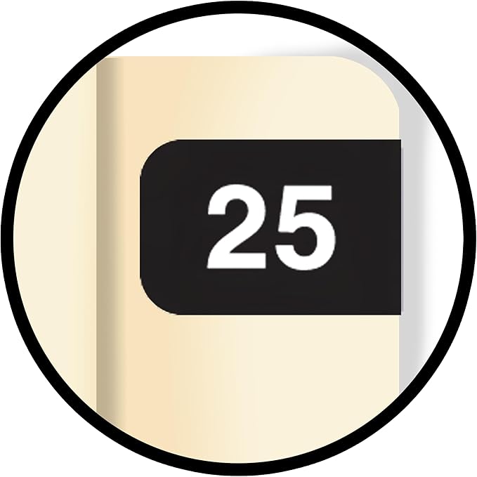 2025 MINI Year Labels, Doctor Stuff 2025 Chart Stickers, Black Color Coded, Ames Small Style, USA Made Year Stickers for End Tab File Folders, 500/Roll, 1 Roll, 1/2" x 1-1/2"