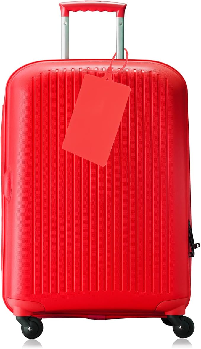 MECCANIXITY Plastic Seals Shipping Tags, for Basket Labels Cable Labels Tags Product Identification Tags, Logistics Marking, Outdoor Tagging, 3.1x3.9 Inch Red 100Packs