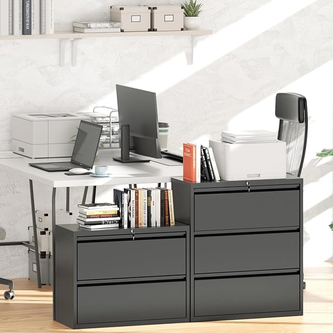 Greenvelly 2 Drawer File Cabinet, Metal Filing Cabinet with Lock, Black Lateral File Cabinet for Home Office, Locking File Cabinet for Letter/Legal/F4/A4 Size Hanging Files, Easy Assembly