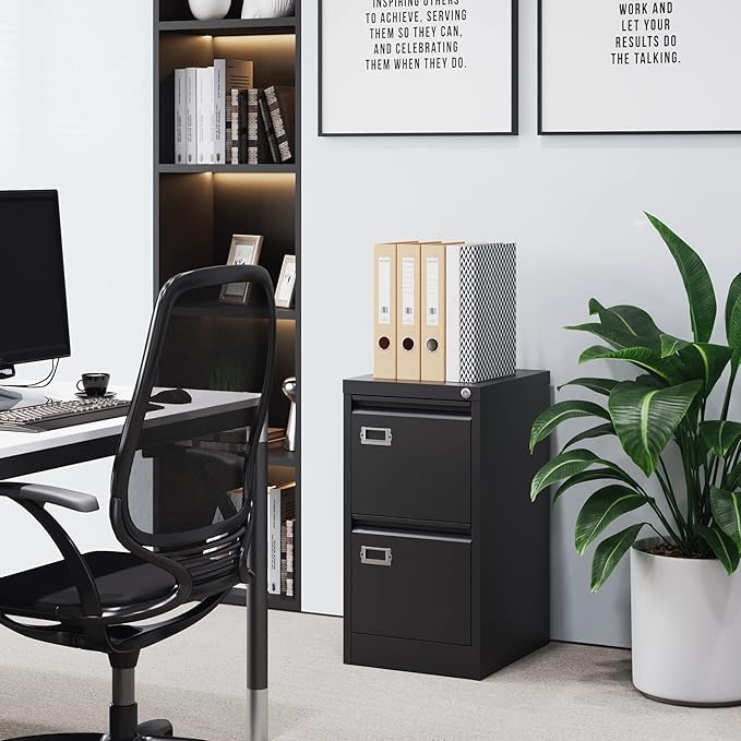 BYNSOE 2 Drawer File Cabinet with Lock Metal Vertical Filing Storage Cabinet Office Home Steel Vertical File Cabinets for A4 Legal/Letter Size Narrow File Cabinet Locked,Assembly Required