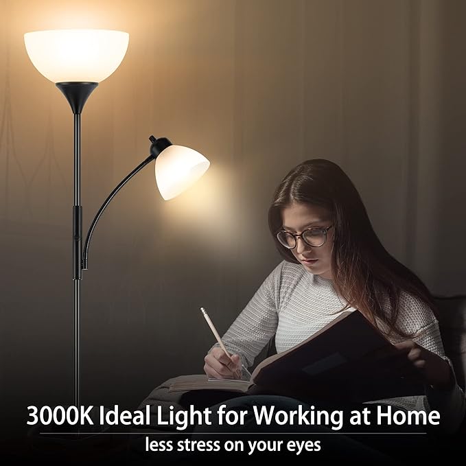 RISLG Floor Lamp, Dimmable Standing lamp, Stepless Dimming Brightness, Included 9W and 5W LED Bulbs, Industrial Floor Lamp for Living Room, Bedroom, Office, Reading