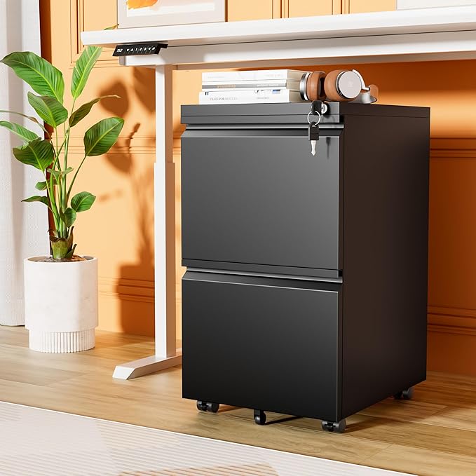 INTERGREAT 2 Drawer File Cabinet with Wheels, Metal Filling Cabinet with Lock, Locking Office Mobile Cabinet with Wheels for Legal/Letter Size, Under Desk, Easy Assemble, Black