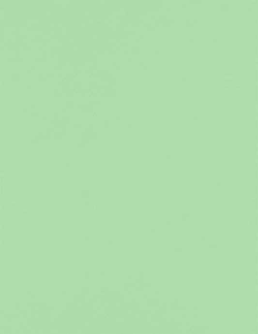 LUXPaper 8.5" x 11" Paper | Letter Size | Pastel Green | 60lb. Text | 500 Qty