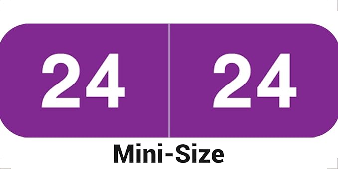 2024 MINI Year Labels, Doctor Stuff 2024 Chart Stickers, Purple Color Coded, Ames Small Style, USA Made Year Stickers for End Tab File Folders, 500/Roll, 1 Roll, 1/2" x 1-1/2"