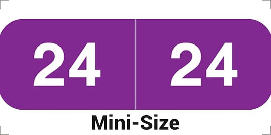 2024 MINI Year Labels, Doctor Stuff 2024 Chart Stickers, Purple Color Coded, Ames Small Style, USA Made Year Stickers for End Tab File Folders, 500/Roll, 1 Roll, 1/2" x 1-1/2"
