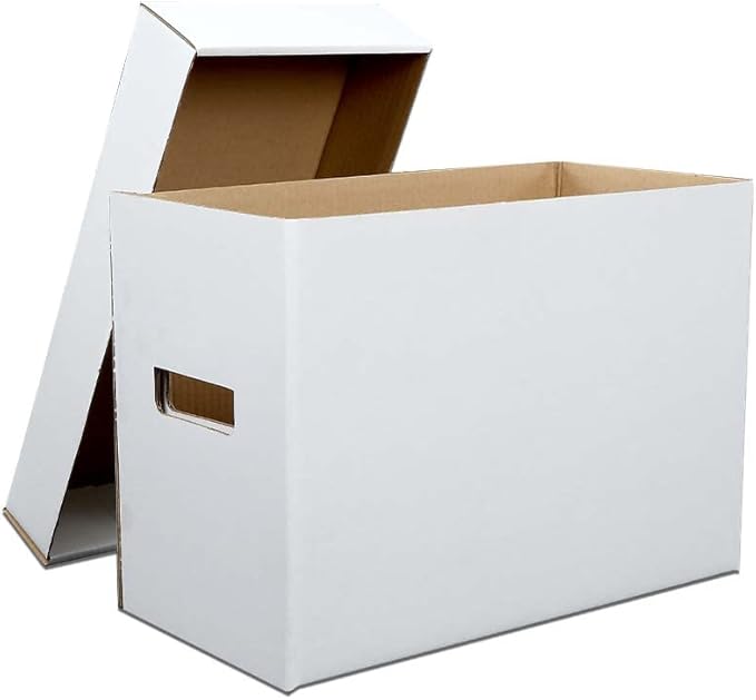 ANDPLAY 10 Pcs Comic Books Storage Boxes With Lids Short Holds 150-175 Stackable Durable Archive White Comic Book Storage