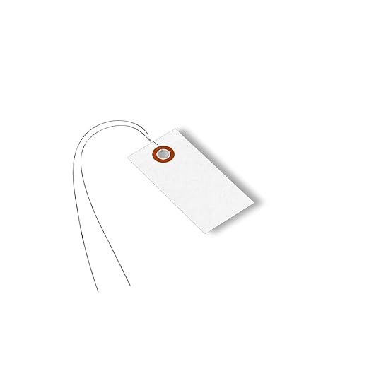 SmartSign (Pack of 1000) 2.75 x 1.375 inch “White” Blank Tyvek Shipping Tags with Wire, Size #1, 8 mil Thick Tyvek