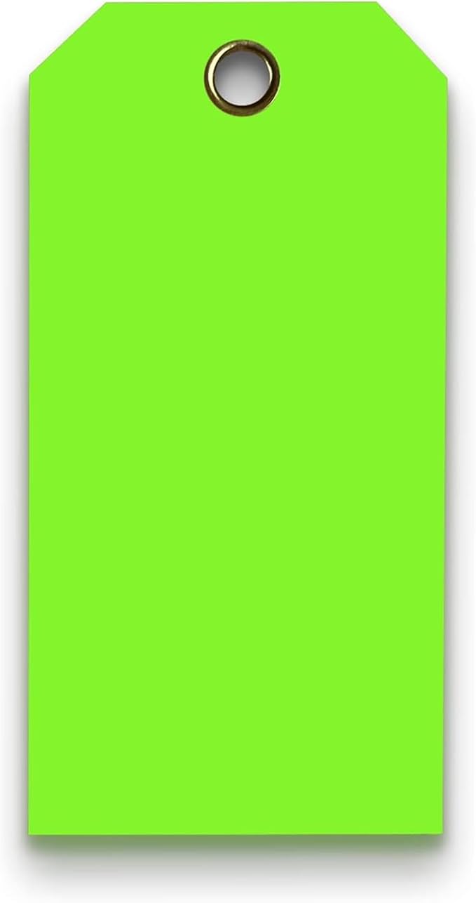 Tags 4 Less 15 Mil Waterproof Plastic Tags, Pack of 100 – 3” x 6” Heavy Duty Plastic Tags for Labeling, Outdoor Tagging, Equipment Labeling, Luggage, Valves & More (Fluorescent Green)