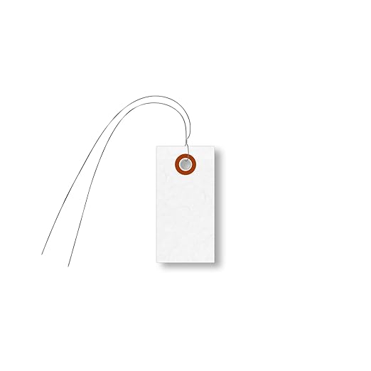 SmartSign (Pack of 1000) 2.75 x 1.375 inch “White” Blank Tyvek Shipping Tags with Wire, Size #1, 8 mil Thick Tyvek