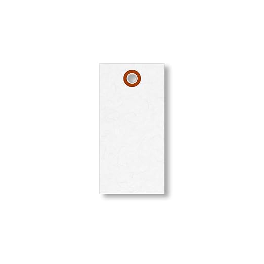 SmartSign (Pack of 1000) 3.75 x 1.875 inch “White” Blank Tyvek Shipping Tags with Metal Eyelets, Size #3, 8 mil Thick Tyvek, Made in USA