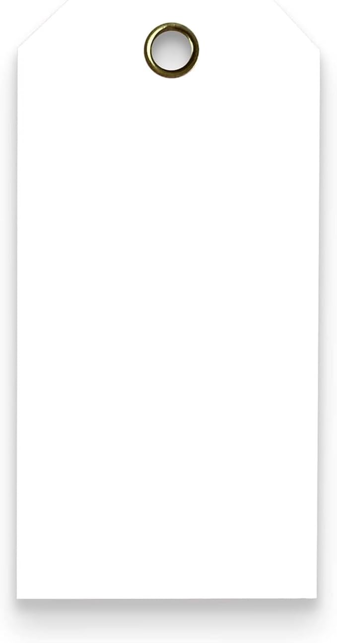 Tags 4 Less 15 Mil Waterproof Plastic Tags, Pack of 100 – 3” x 6” Heavy Duty Plastic Tags for Labeling, Outdoor Tagging, Equipment Labeling, Luggage, Valves & More (White)