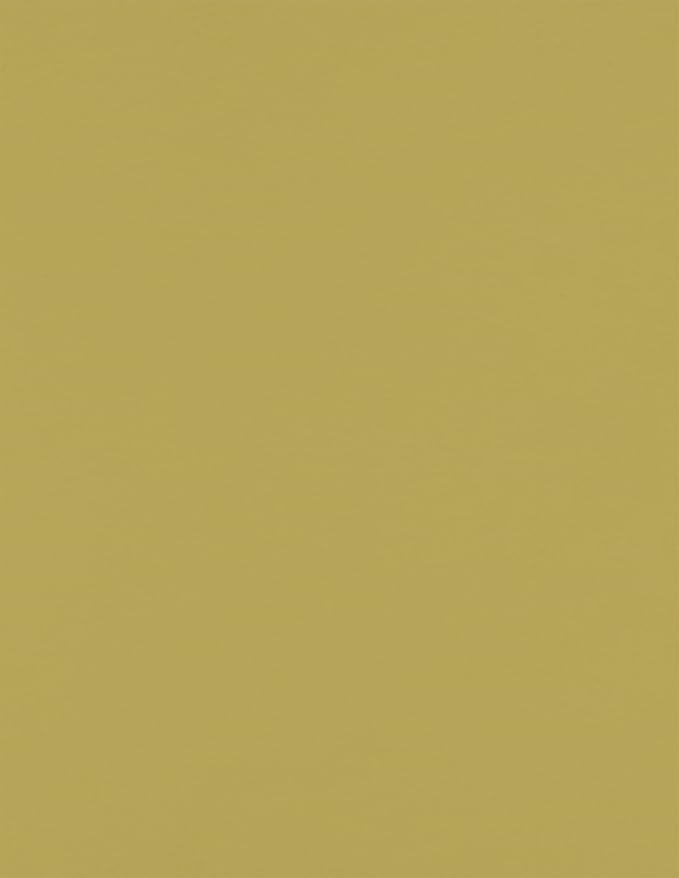 LUXPaper 8.5" x 11" Paper | Letter Size | Olive Green | 70lb. Text | 50 Qty