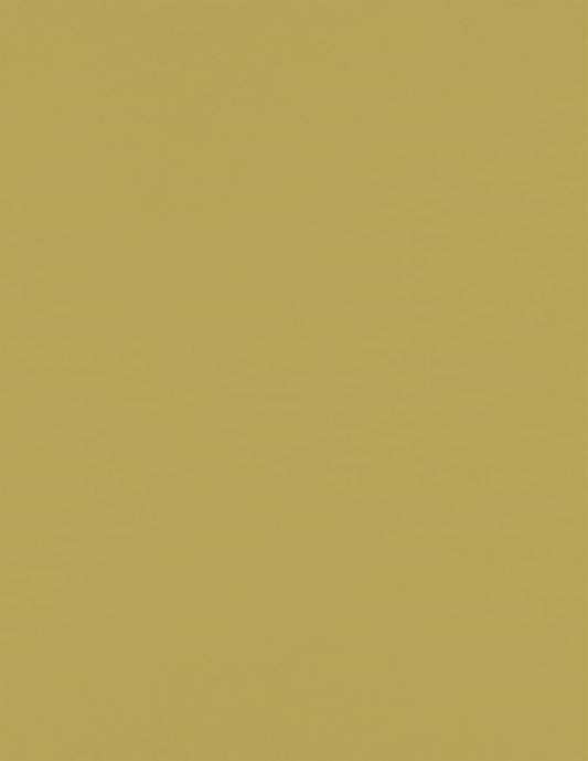 LUXPaper 8.5" x 11" Paper | Letter Size | Olive Green | 70lb. Text | 50 Qty