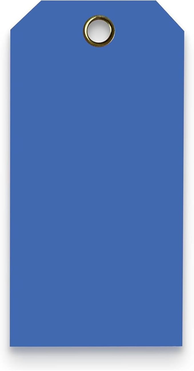Tags 4 Less 15 Mil Waterproof Plastic Tags, Pack of 100 – 2” x 4” Heavy Duty Plastic Tags for Labeling, Outdoor Tagging, Equipment Labeling, Luggage, Valves & More (Dark Blue)