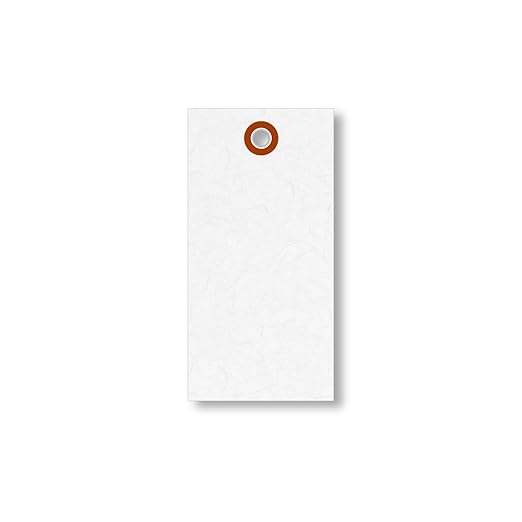 SmartSign (Pack of 1000) 4.25 x 2.125 inch “White” Blank Tyvek Shipping Tags with Metal Eyelets, Size #4, 8 mil Thick Tyvek, Made in USA