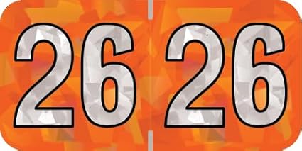 2026 Year Labels, Doctor Stuff 2026 Chart Stickers, Holographic Orange Colored, USA Made Year Label for End Tab File Folders, 500 Labels per Roll, 1 Roll, 3/4" x 1-1/2"