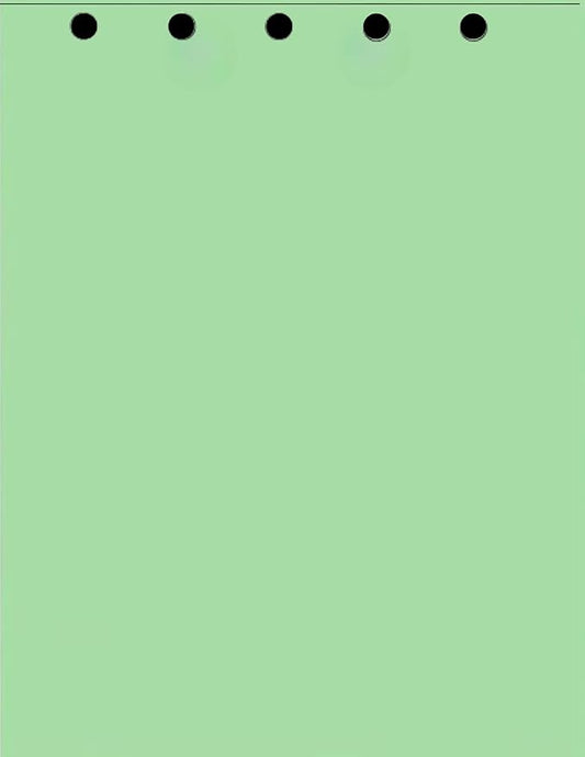 Limited Papers(TM) Writing and Copy Paper, Variation of Colors 8.5" x 11", 5 Hole Top-Punched, 20 Pound Text, 500 Sheets Per Ream. (5000, Green)