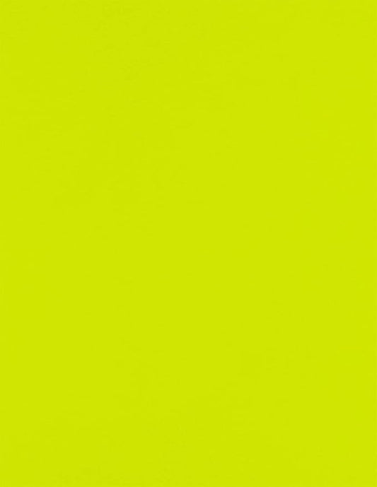 LUXPaper 8.5" x 11" Paper | Letter Size | Wasabi Green | 80lb. Text | 50 Qty