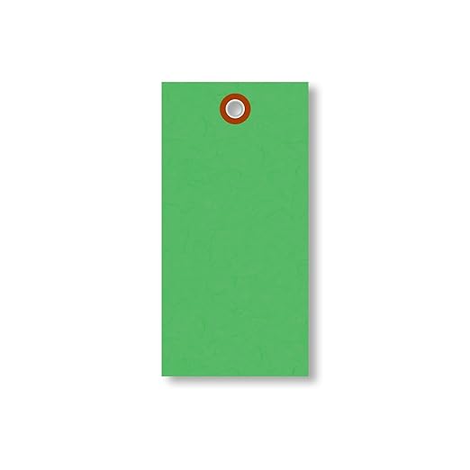 SmartSign (Pack of 1000) 4.75 x 2.375 inch “Green” Blank Tyvek Shipping Tags with Metal Eyelets, Size #5, 8 mil Thick Tyvek