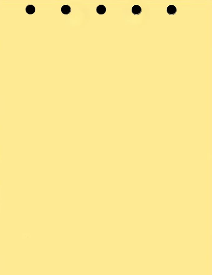 Limited Papers(TM) Writing and Copy Paper, Variation of Colors 8.5" x 11", 5 Hole Top-Punched, 20 Pound Text, 500 Sheets Per Ream. (5000, Buff)