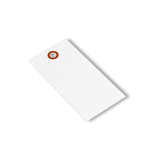SmartSign (Pack of 1000) 4.25 x 2.125 inch “White” Blank Tyvek Shipping Tags with Metal Eyelets, Size #4, 8 mil Thick Tyvek, Made in USA