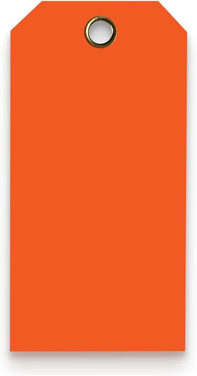 Tags 4 Less 15 Mil Waterproof Plastic Tags, Pack of 100 – 3” x 6” Heavy Duty Plastic Tags for Labeling, Outdoor Tagging, Equipment Labeling, Luggage, Valves & More (Orange)