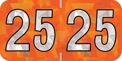 2025 Year Labels, Doctor Stuff 2025 Chart Stickers, Holographic Orange Colored, USA Made Year Label for End Tab File Folders, 500 Labels per Roll, 1 Roll, 3/4" x 1-1/2"