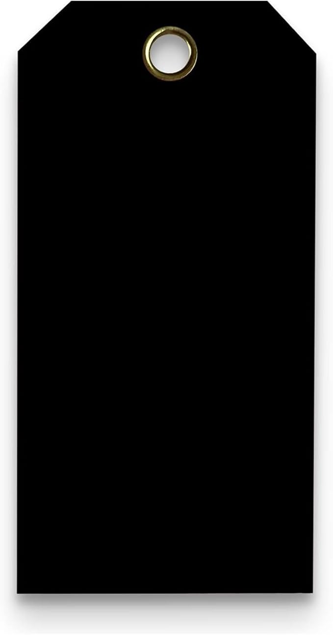 Tags 4 Less 15 Mil Waterproof Plastic Tags, Pack of 100 – 3” x 6” Heavy Duty Plastic Tags for Labeling, Outdoor Tagging, Equipment Labeling, Luggage, Valves & More (Black)