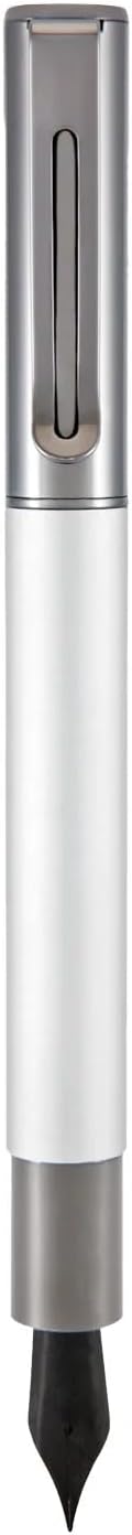Monteverde USA Ritma Fountain Pen in Silver – Omniflex Nib, Flexible JoWo Stainless Steel, Refillable Ink Cartridge/Converter – Ideal for Calligraphy & Artistic Expression