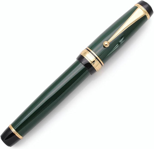 xixixiaozhu Metal Big Fountain Pen Set Medium Nib 0.7mm, Includes Ink Refill Converter, 5 Ink Cartridges & Gift Box (Medium Nib 0.7mm, Green)