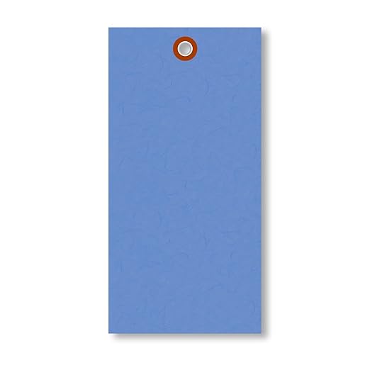 SmartSign (Pack of 100) Blue Blank Tyvek Shipping Tags with Metal Eyelets, 6.25 x 3.125 Inches, Size #8, 8 mil Thick, Durable for Shipping, Inventory, and Color Coding