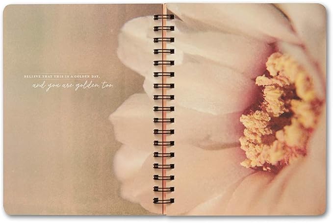 Compendium Spiral Notebook - You are here. Now, everything is possible. — A Designer Spiral Notebook with 192 Lined Pages, College Ruled, 7.0”W x 9.25”H