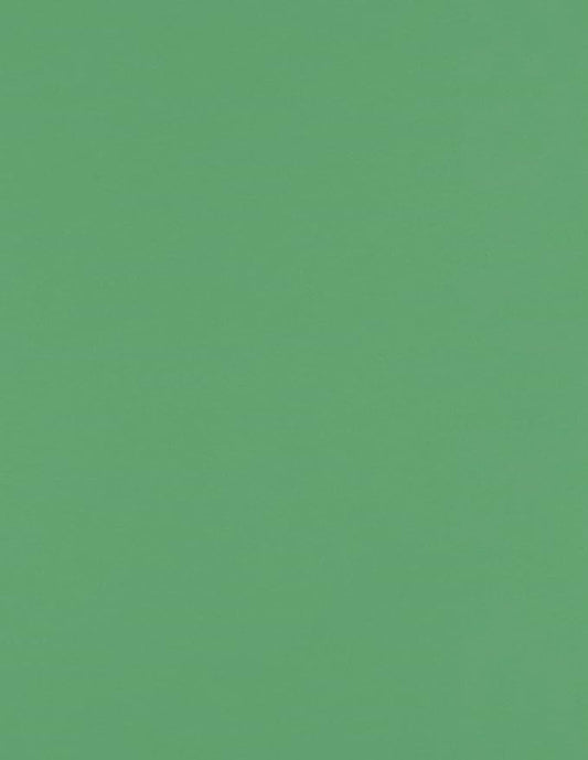 LUXPaper 8.5" x 11" Paper | Letter Size | Holiday Green | 80lb. Text | 50 Qty