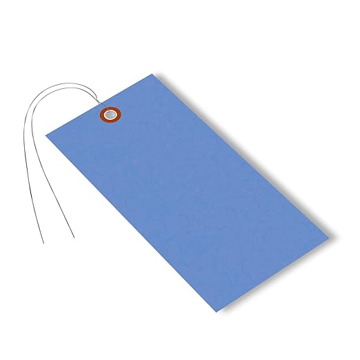 SmartSign (Pack of 100) 6.25 x 3.125 inch “Blue” Blank Tyvek Shipping Tags with Wire, Size #8, 8 mil Thick Tyvek, Made in USA