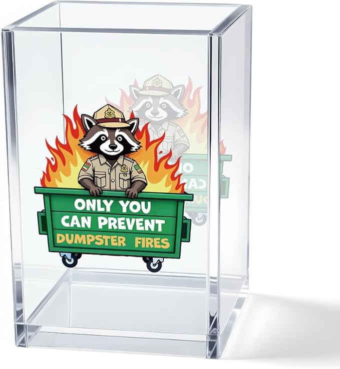 Vgrti Only You Can Prevent Dumpster Fire Acrylic Cosmetic Pencil Pen Holder Cup, Funny Raccoon Pen Holder Cup, Raccoon Gifts, Humor Sarcastic Work Gag Gifts for Women Men Employee Coworker Friend