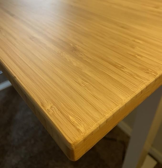 FLEXISPOT EN1 Bamboo Standing Desk, 48 x 24 Inches Whole-Piece Electric Height Adjustable Desk (Silver Frame + Bamboo Top, 2 Packages)