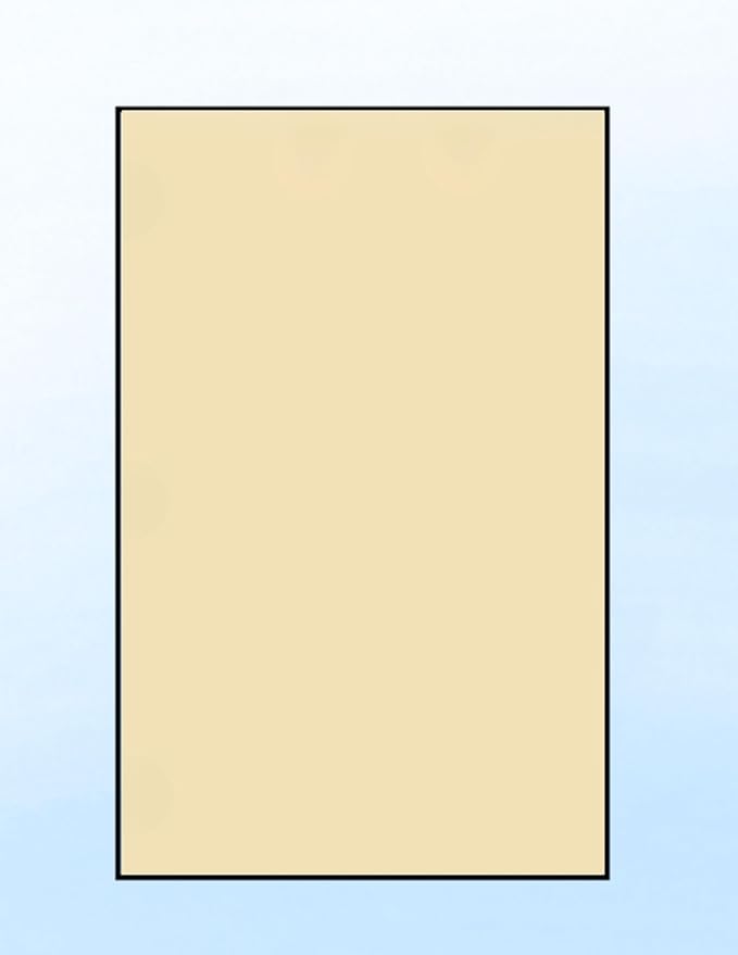 Limited Papers (TM) Colored Copy Paper – 24lb/60lb Text, 90 gsm, 11"x17", Tabloid Size, 500 Sheets Per Ream. (2500, Tan)