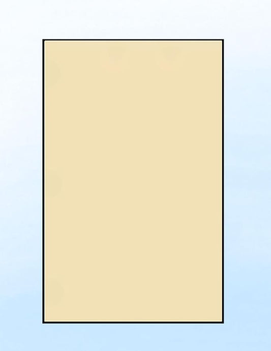 Limited Papers (TM) Colored Copy Paper – 24lb/60lb Text, 90 gsm, 11"x17", Tabloid Size, 500 Sheets Per Ream. (2500, Tan)