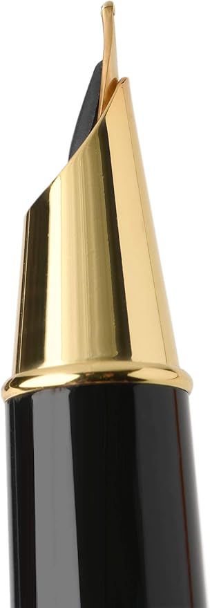 Dryden Designs Fountain Pen - Medium and Fine Nibs | Includes 24 Ink Cartridges and Ink Refill Converter | Calligraphy Pen, Consistent Writing, Smooth Flow - Emerald Green.
