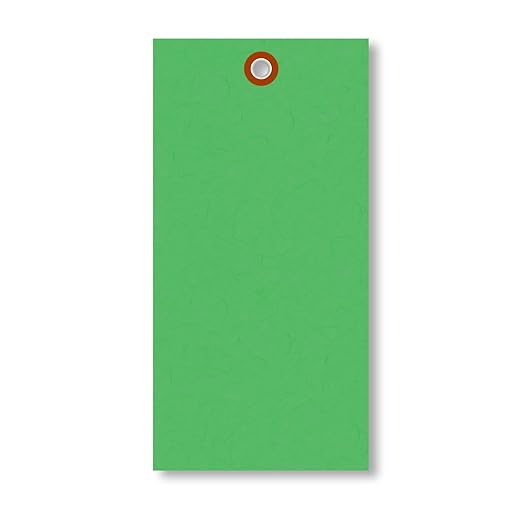 SmartSign (Pack of 1000) 6.25 x 3.125 inch “Green” Blank Tyvek Shipping Tags with Metal Eyelets, Size #8, 8 mil Thick Tyvek