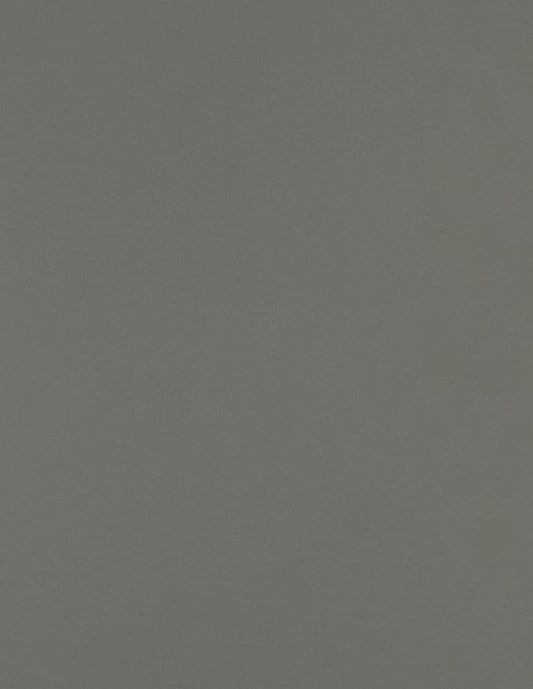 LUXPaper 8.5" x 11" Paper | Letter Size | Smoke Gray | 80lb. Text | 1,000 Qty