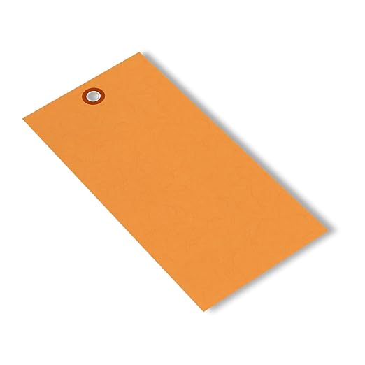 SmartSign (Pack of 100) 6.25 x 3.125 inch “Orange” Blank Tyvek Shipping Tags with Metal Eyelets, Size #8, 8 mil Thick Tyvek, Made in USA