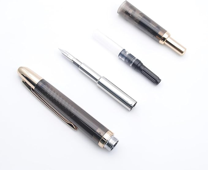 JINHAO 20 Press Fountain Pen, Retractable Capless Resin Pen with Ink Converter (F Nib 0.5mm, Transparent Black - Gold Clip)