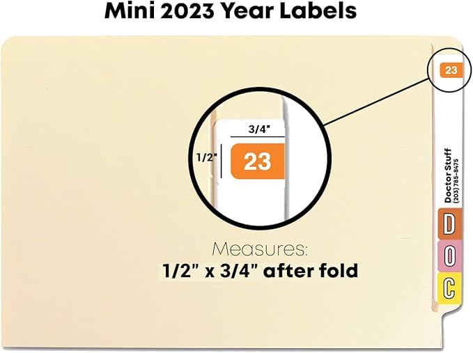 2023 MINI Year Stickers, Doctor Stuff 2023 Chart Stickers, Orange Colored, Ames Small Style, USA Made Year Stickers for End Tab File Folders, 500/Roll, 1 Roll, 1/2" x 1-1/2"