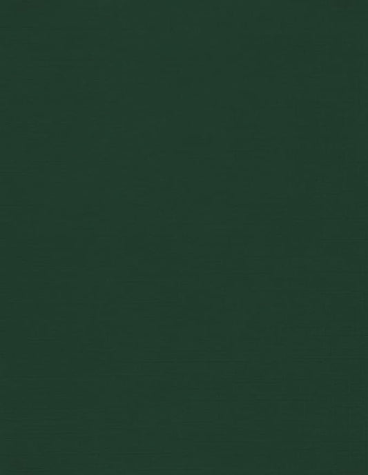 LUXPaper 8.5" x 11" Cardstock | Letter Size | Green Linen | 100lb. Cover (183lb. Text) | 1,000 Qty