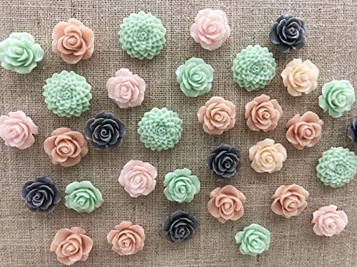 24Pcs Decorative Pushpins,Cork Board Tacks,Bulletin Board Tacks,Thumb Tack Decorative for CorkBoard, Office Organization or Home