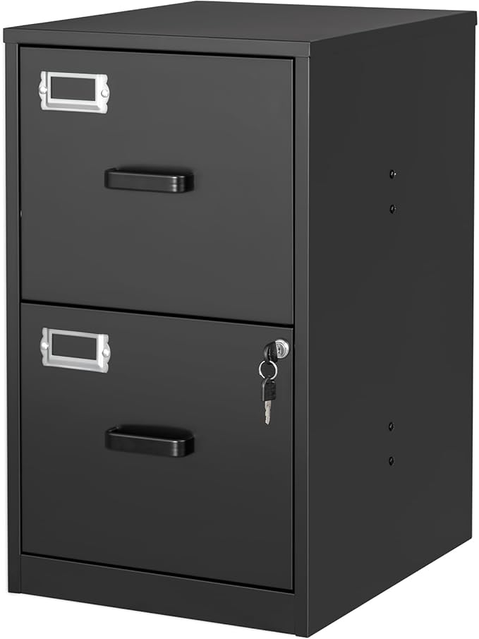 BYNSOE 2 Drawer File Cabinet with Lock Vertical Filing Storage Cabinet Office Home Steel Vertical File Cabinets for Letter Size File Cabinet Locked,Assembly Required