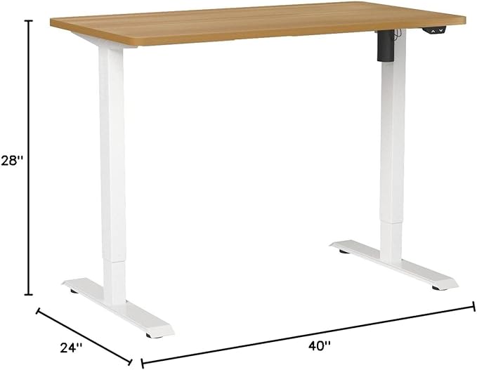 FLEXISPOT EN1 One-Piece Standing Desk, 40"x24" Seamless Desktop Electric Height Adjustable Desk for Home Office, Multi-Monitor Setups & Easy Assembly, Maple
