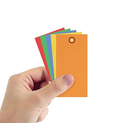 SmartSign (Pack of 1000) 4.75 x 2.375 inch Multi Colored Blank Tyvek Shipping Tags with Metal Eyelets, Size #5, 8 mil Thick Tyvek